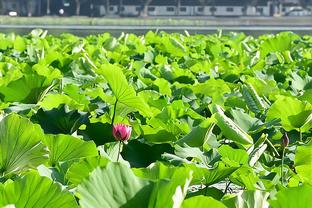 ?FIBA亚洲杯官方晒中日大战预热海报